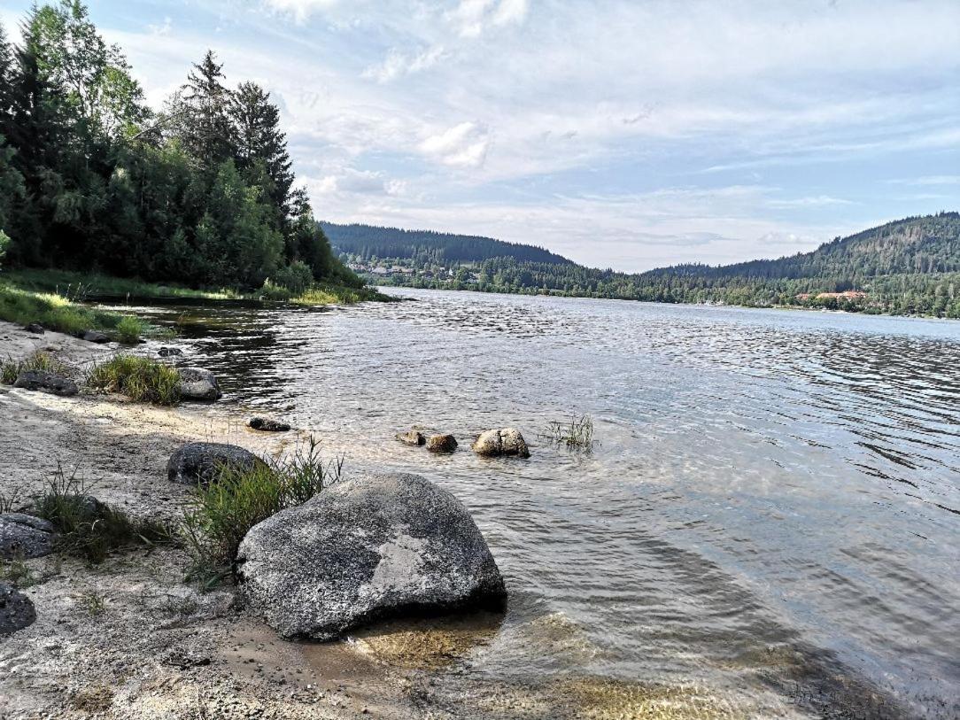 C1 Albmatte-Fewo Sauna, Hallenbad Aussenbecken Massagen Nebenan Menzenschwand-Hinterdorf 外观 照片