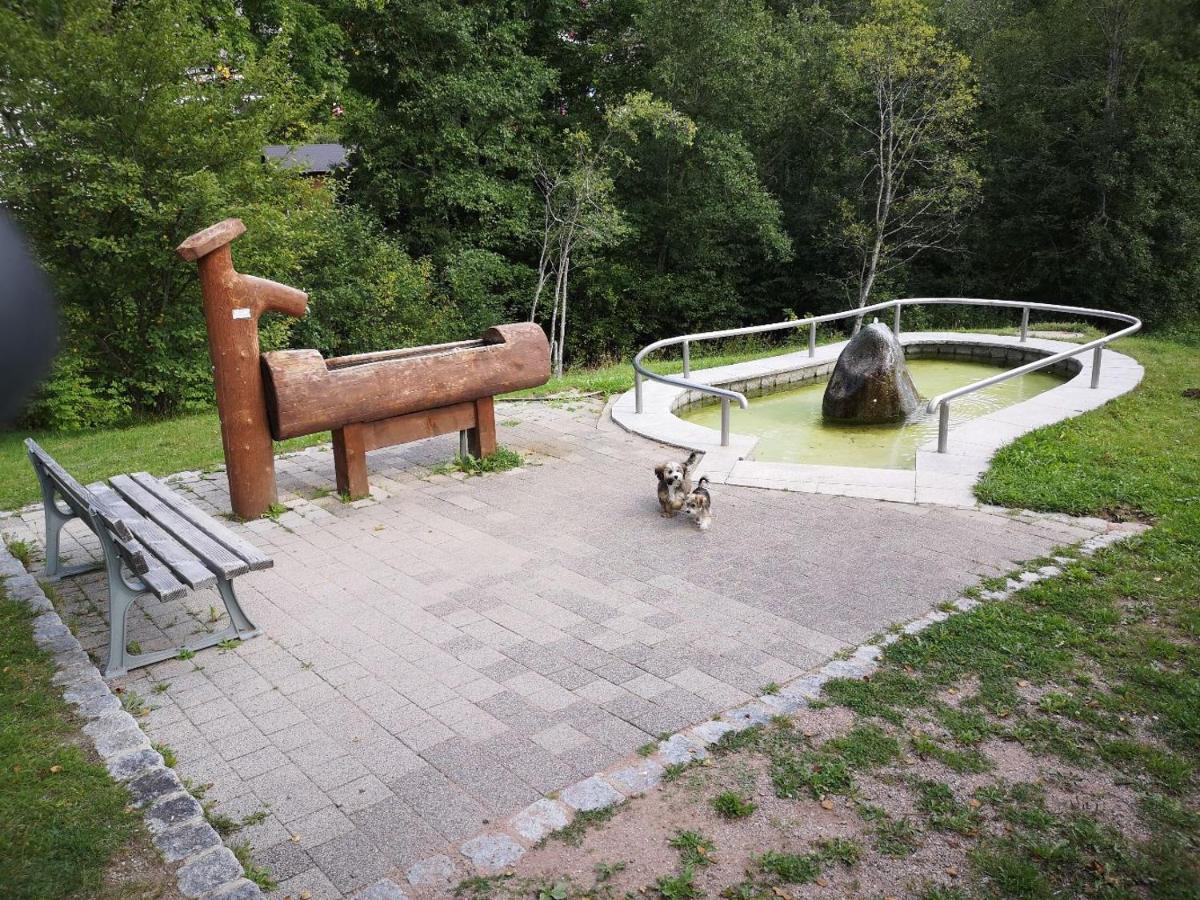 C1 Albmatte-Fewo Sauna, Hallenbad Aussenbecken Massagen Nebenan Menzenschwand-Hinterdorf 外观 照片