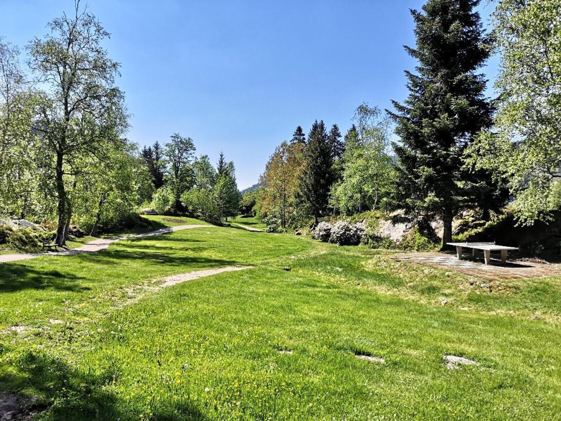 C1 Albmatte-Fewo Sauna, Hallenbad Aussenbecken Massagen Nebenan Menzenschwand-Hinterdorf 外观 照片