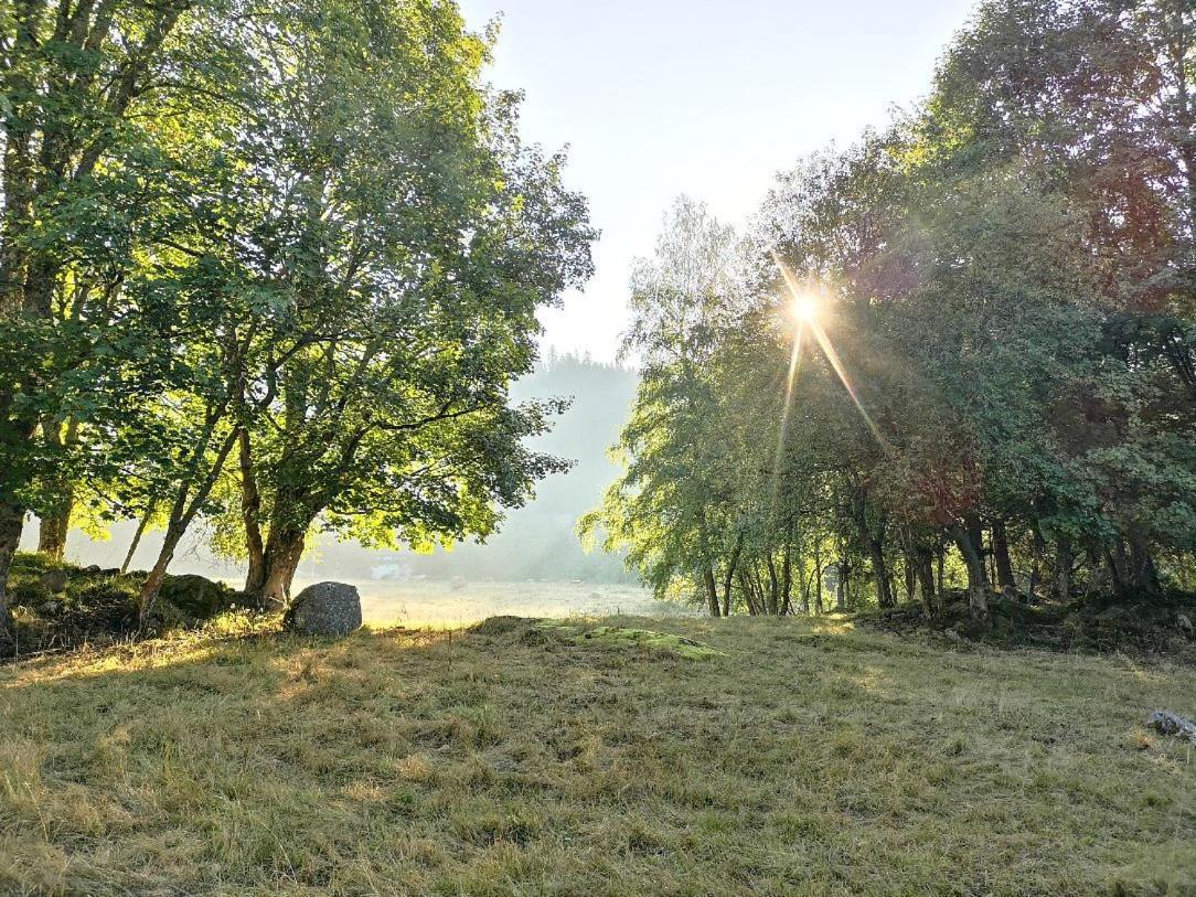 C1 Albmatte-Fewo Sauna, Hallenbad Aussenbecken Massagen Nebenan Menzenschwand-Hinterdorf 外观 照片