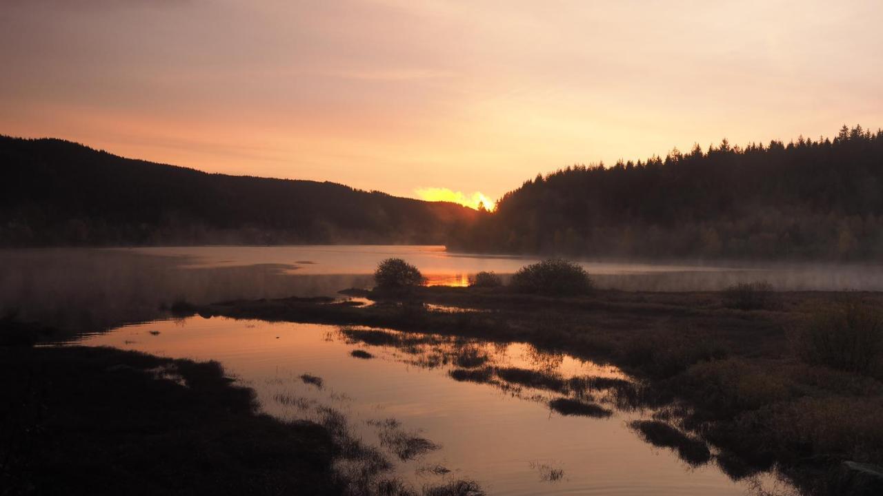 C1 Albmatte-Fewo Sauna, Hallenbad Aussenbecken Massagen Nebenan Menzenschwand-Hinterdorf 外观 照片