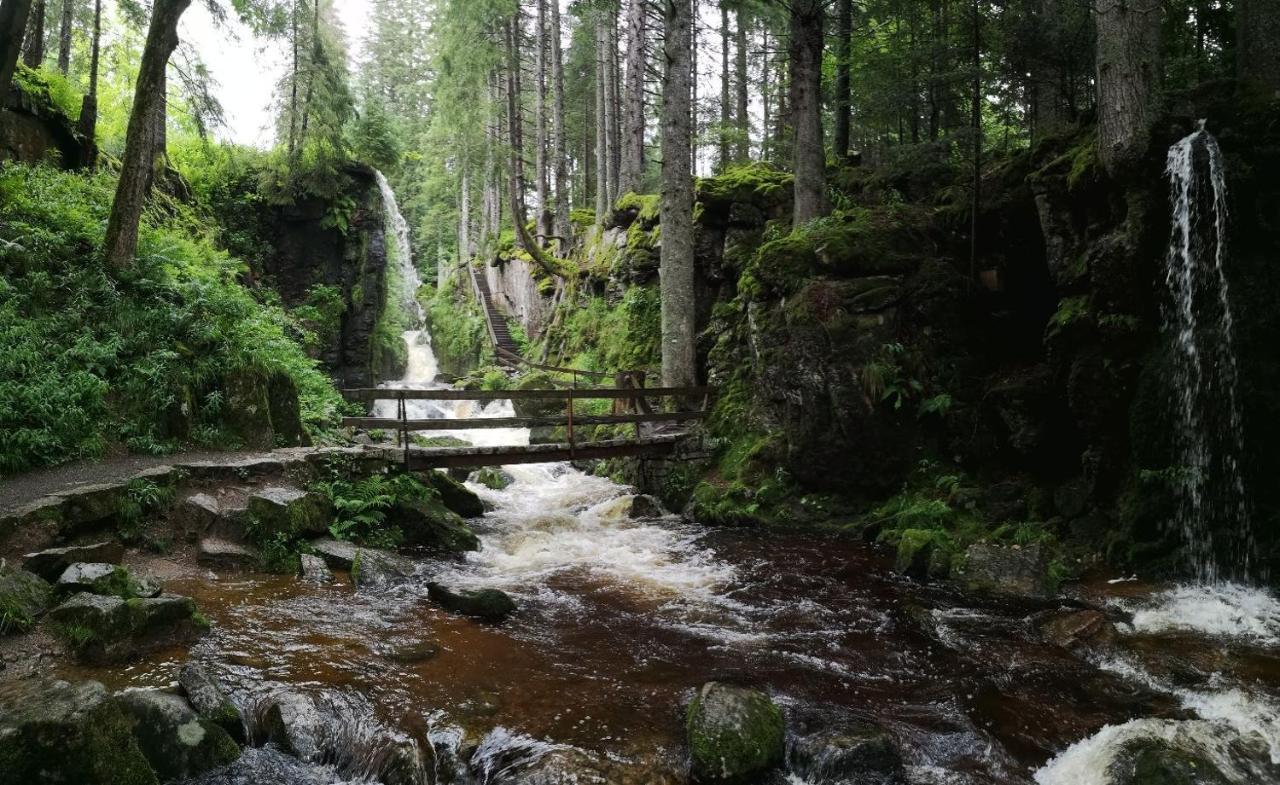 C1 Albmatte-Fewo Sauna, Hallenbad Aussenbecken Massagen Nebenan Menzenschwand-Hinterdorf 外观 照片