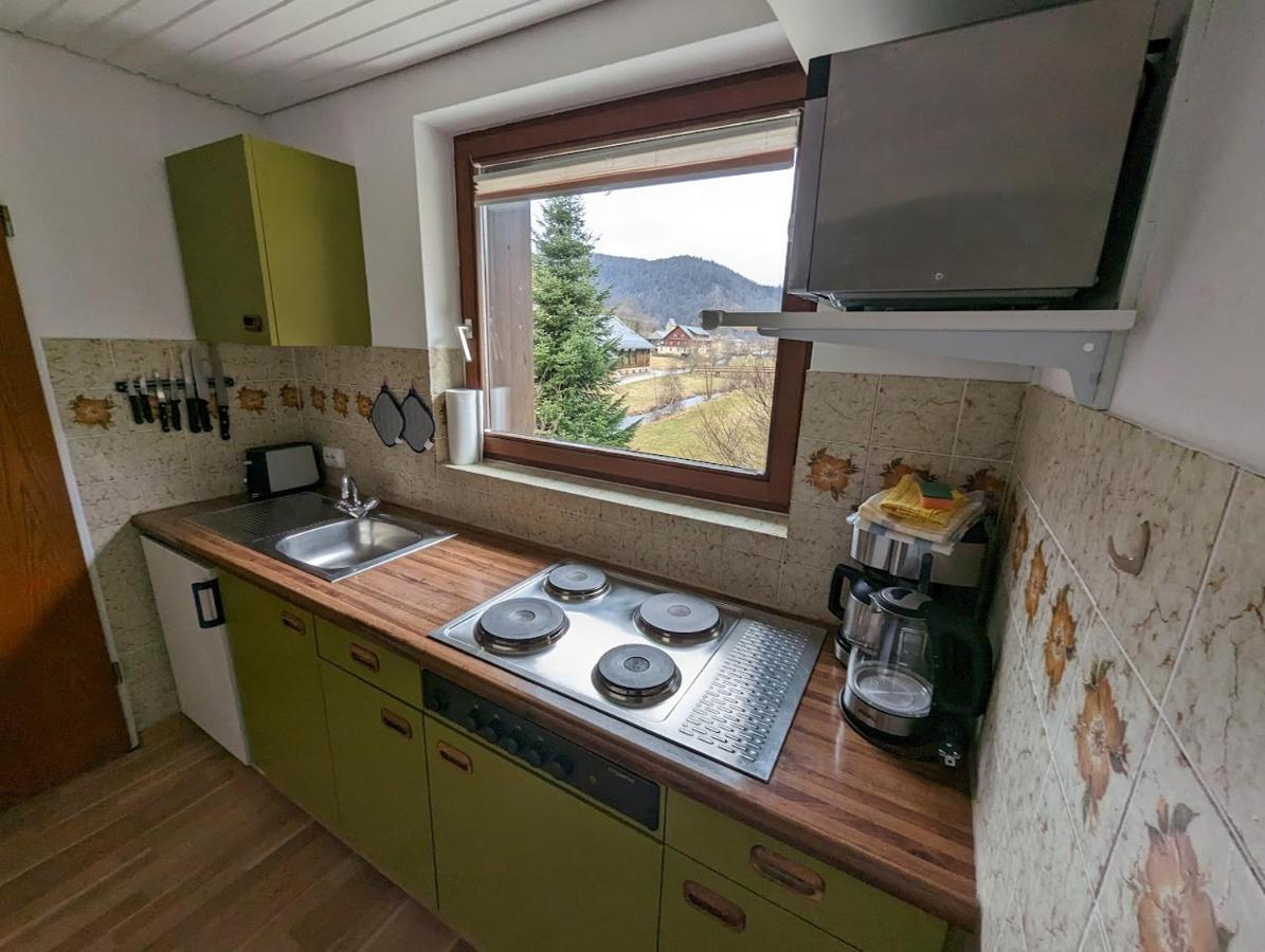 C1 Albmatte-Fewo Sauna, Hallenbad Aussenbecken Massagen Nebenan Menzenschwand-Hinterdorf 外观 照片