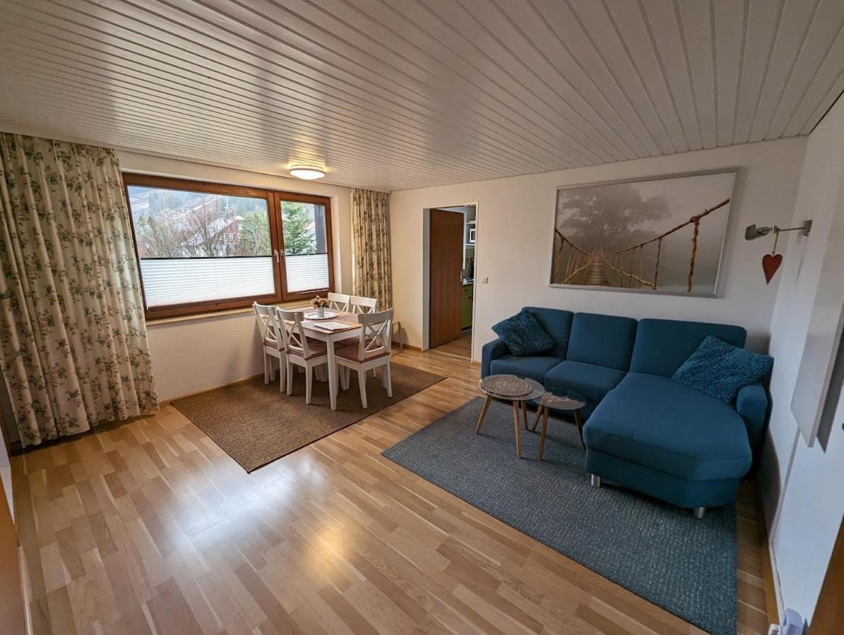 C1 Albmatte-Fewo Sauna, Hallenbad Aussenbecken Massagen Nebenan Menzenschwand-Hinterdorf 外观 照片
