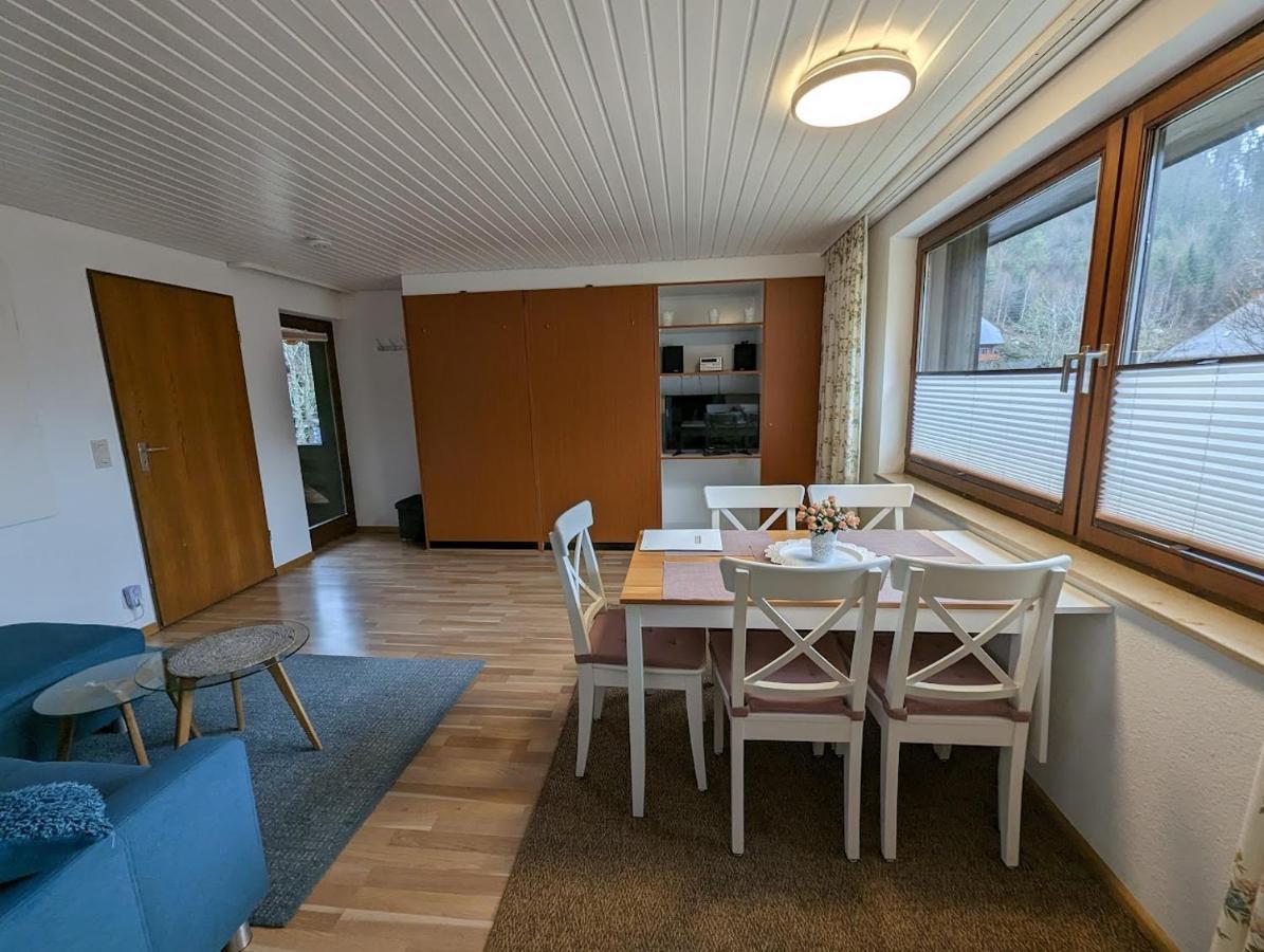 C1 Albmatte-Fewo Sauna, Hallenbad Aussenbecken Massagen Nebenan Menzenschwand-Hinterdorf 外观 照片