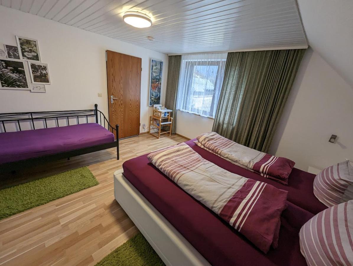 C1 Albmatte-Fewo Sauna, Hallenbad Aussenbecken Massagen Nebenan Menzenschwand-Hinterdorf 外观 照片