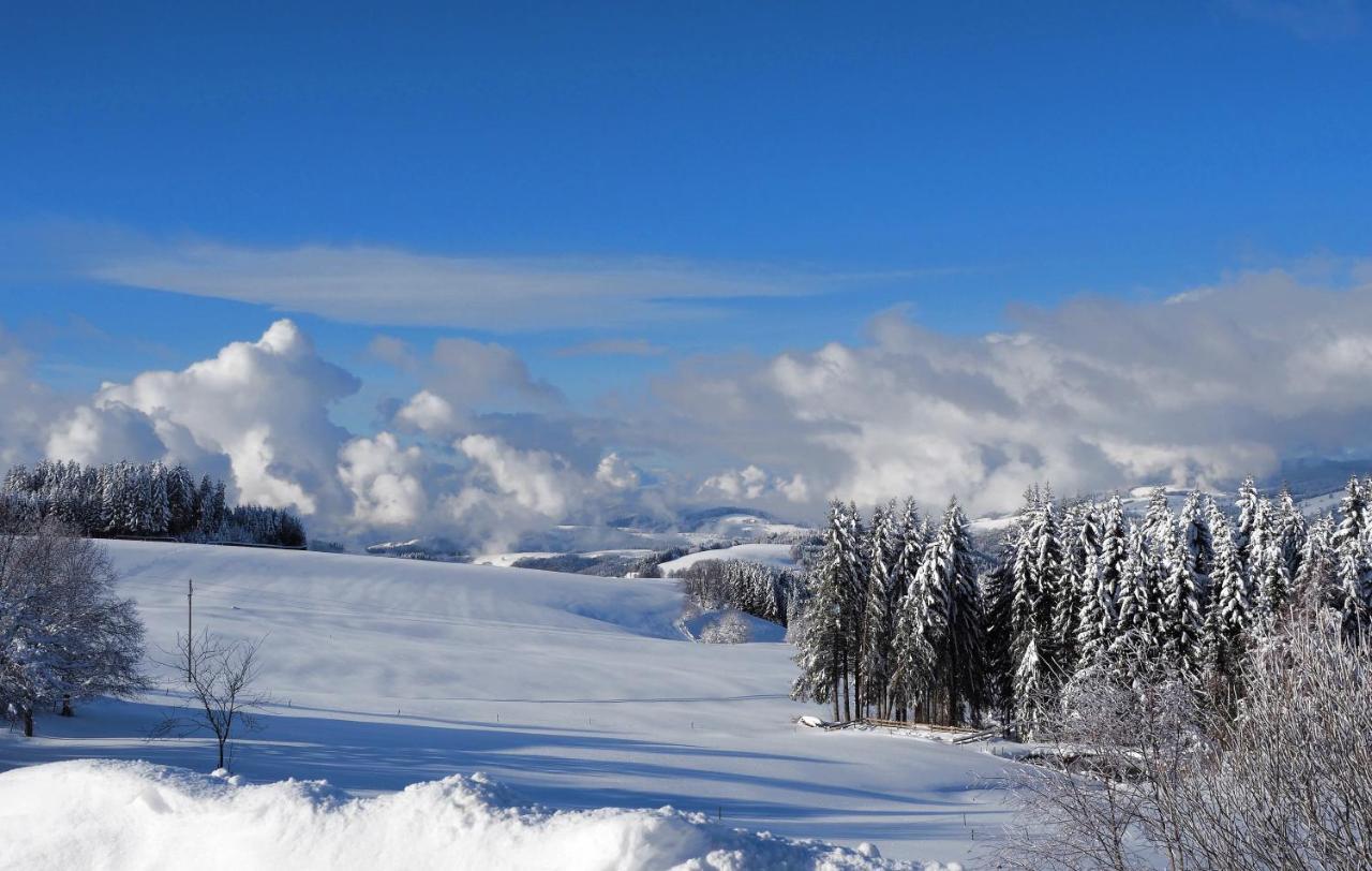 C1 Albmatte-Fewo Sauna, Hallenbad Aussenbecken Massagen Nebenan Menzenschwand-Hinterdorf 外观 照片