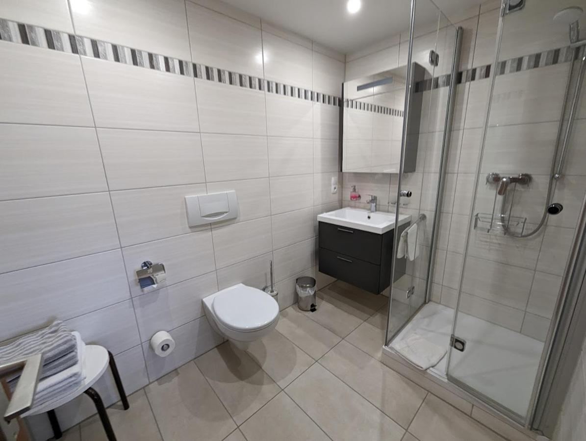 C1 Albmatte-Fewo Sauna, Hallenbad Aussenbecken Massagen Nebenan Menzenschwand-Hinterdorf 外观 照片