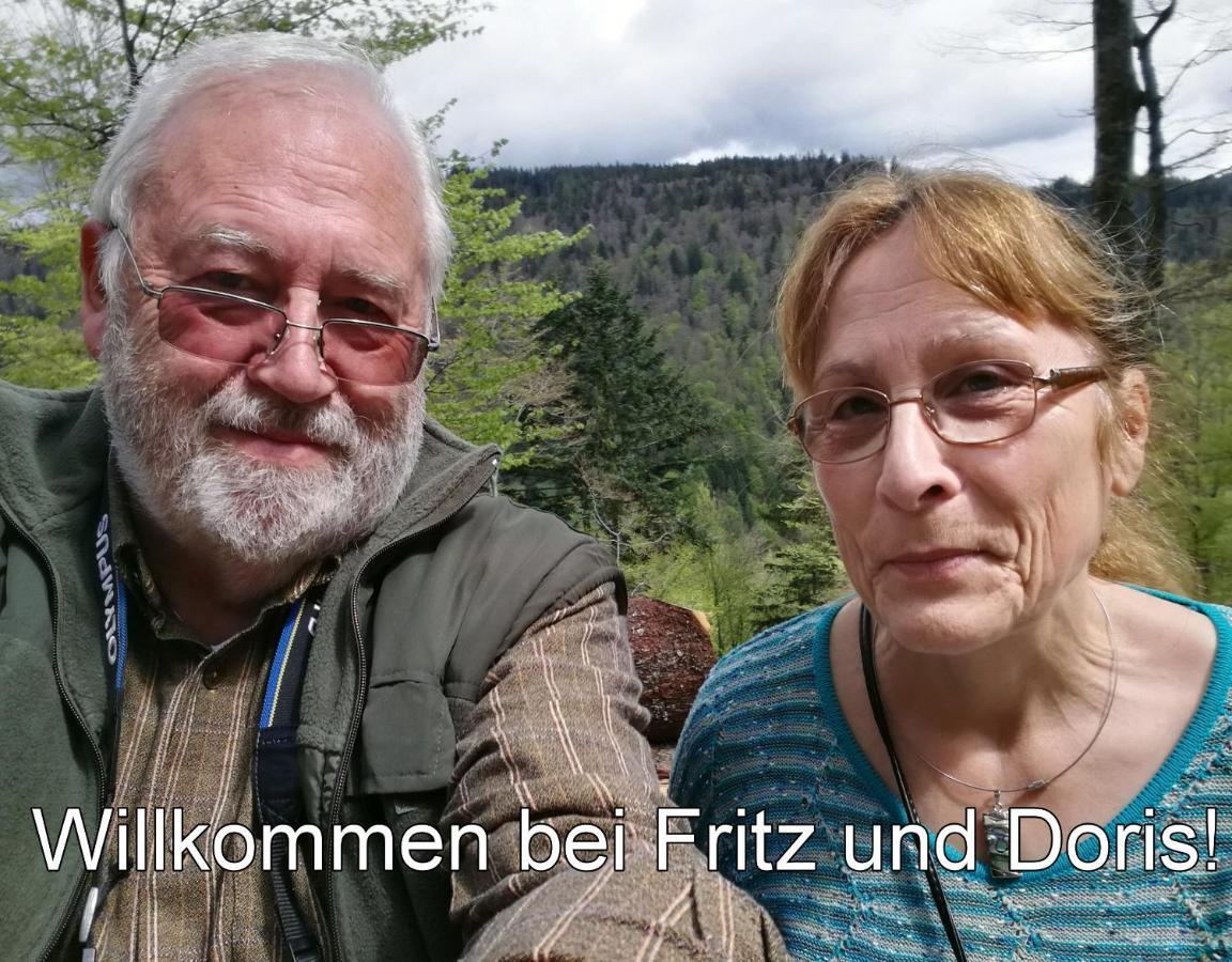 C1 Albmatte-Fewo Sauna, Hallenbad Aussenbecken Massagen Nebenan Menzenschwand-Hinterdorf 外观 照片