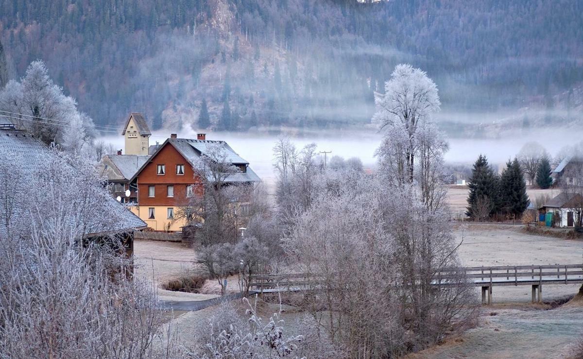 C1 Albmatte-Fewo Sauna, Hallenbad Aussenbecken Massagen Nebenan Menzenschwand-Hinterdorf 外观 照片