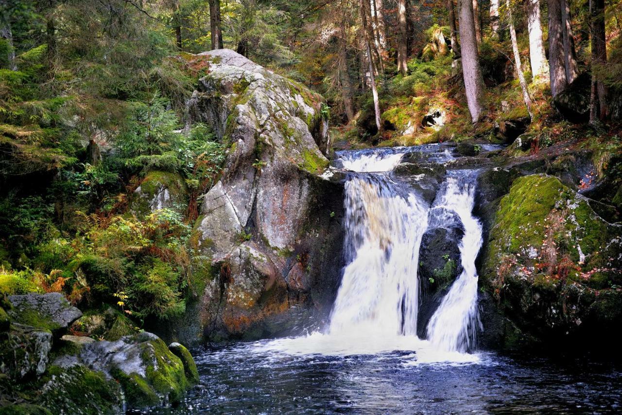C1 Albmatte-Fewo Sauna, Hallenbad Aussenbecken Massagen Nebenan Menzenschwand-Hinterdorf 外观 照片