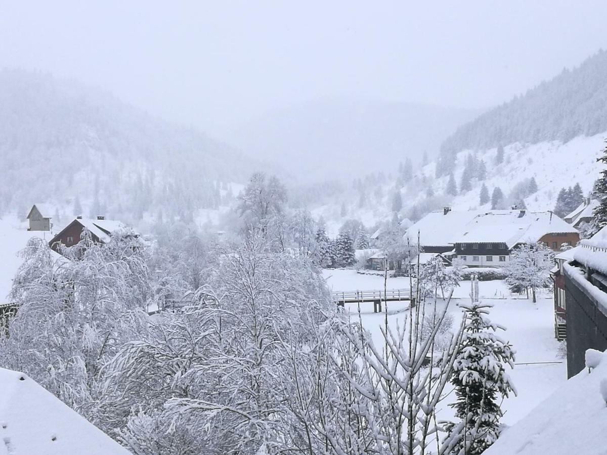 C1 Albmatte-Fewo Sauna, Hallenbad Aussenbecken Massagen Nebenan Menzenschwand-Hinterdorf 外观 照片