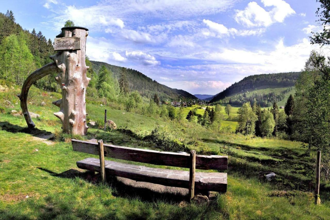 C1 Albmatte-Fewo Sauna, Hallenbad Aussenbecken Massagen Nebenan Menzenschwand-Hinterdorf 外观 照片