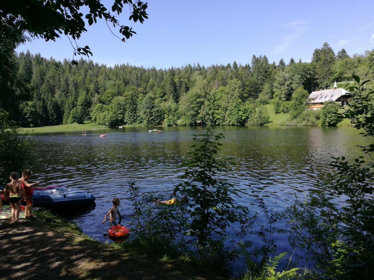 C1 Albmatte-Fewo Sauna, Hallenbad Aussenbecken Massagen Nebenan Menzenschwand-Hinterdorf 外观 照片