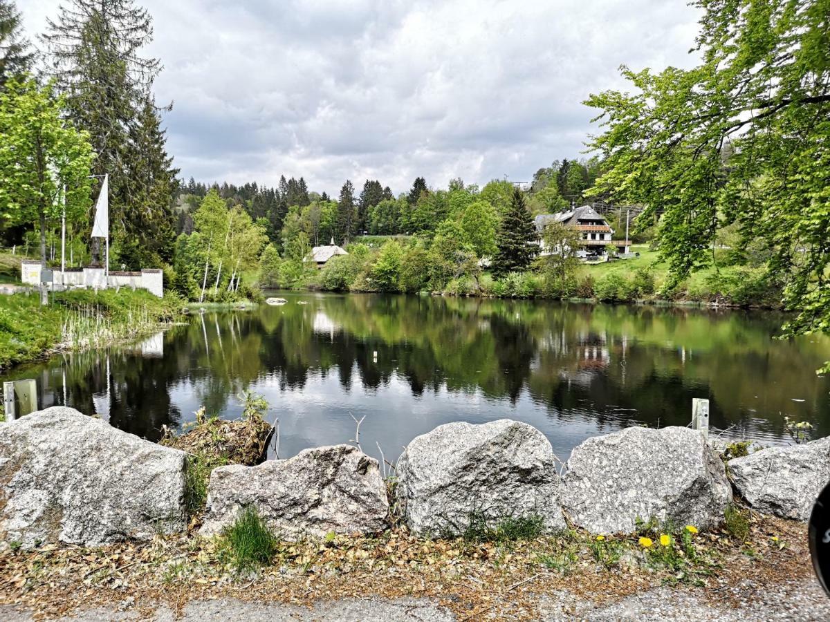 C1 Albmatte-Fewo Sauna, Hallenbad Aussenbecken Massagen Nebenan Menzenschwand-Hinterdorf 外观 照片