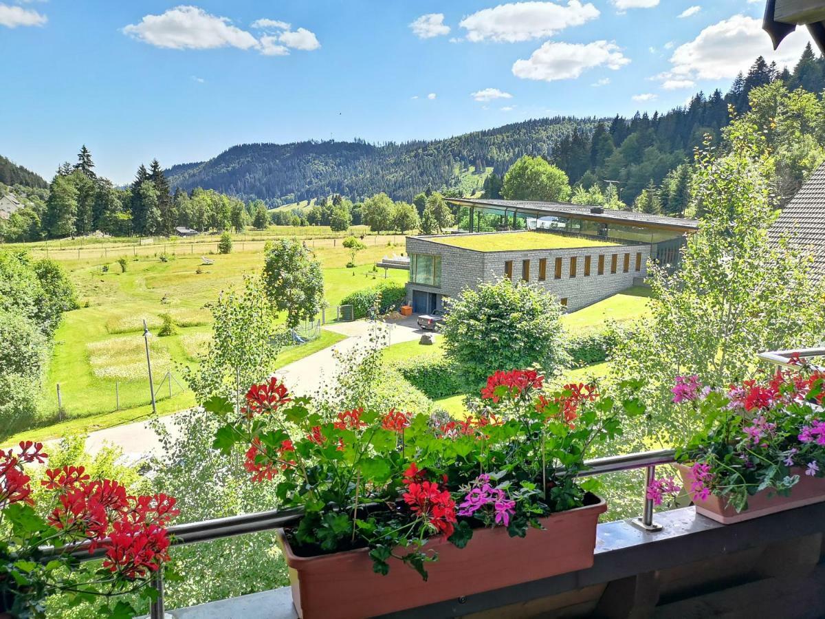 C1 Albmatte-Fewo Sauna, Hallenbad Aussenbecken Massagen Nebenan Menzenschwand-Hinterdorf 外观 照片