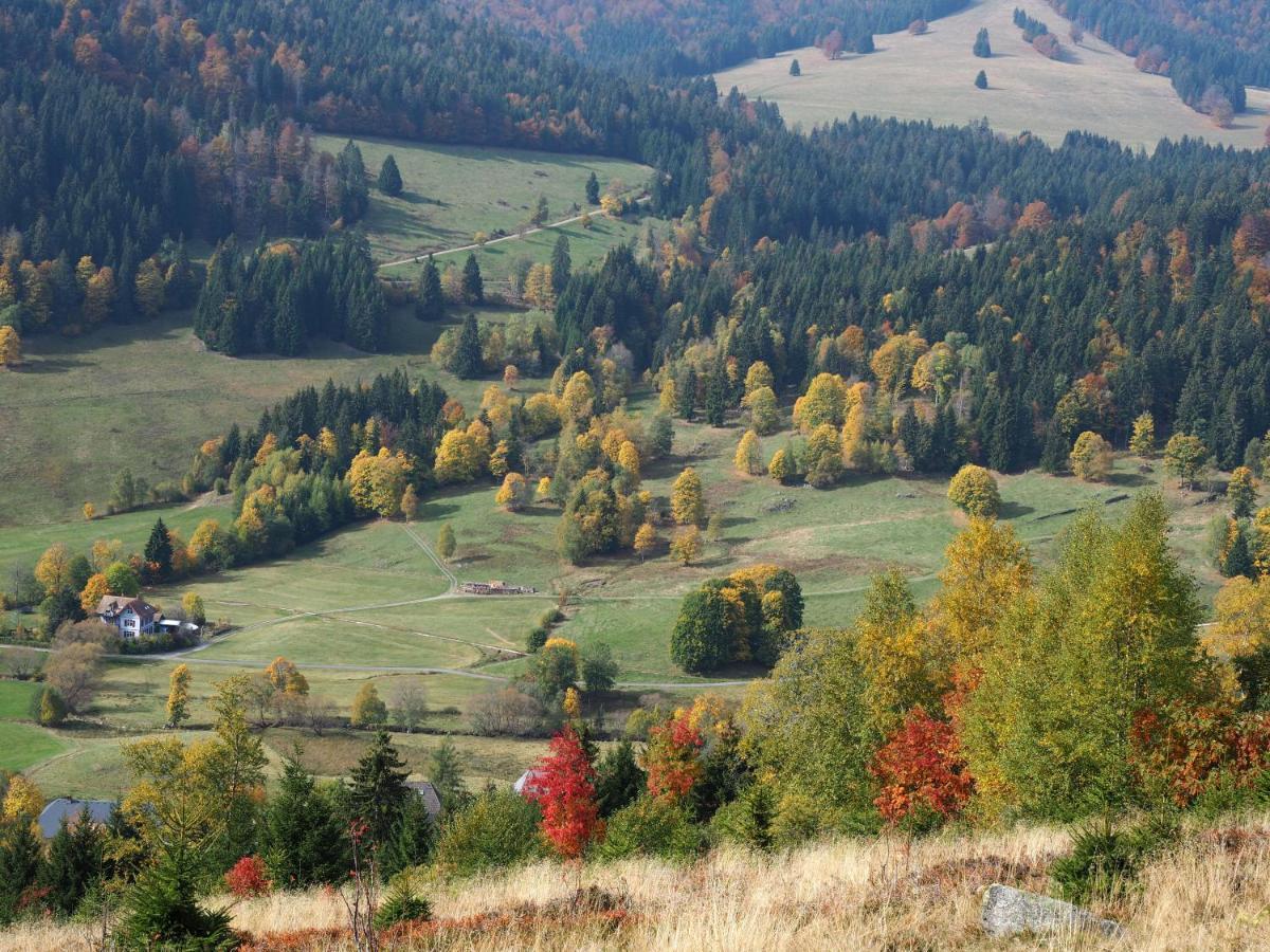 C1 Albmatte-Fewo Sauna, Hallenbad Aussenbecken Massagen Nebenan Menzenschwand-Hinterdorf 外观 照片